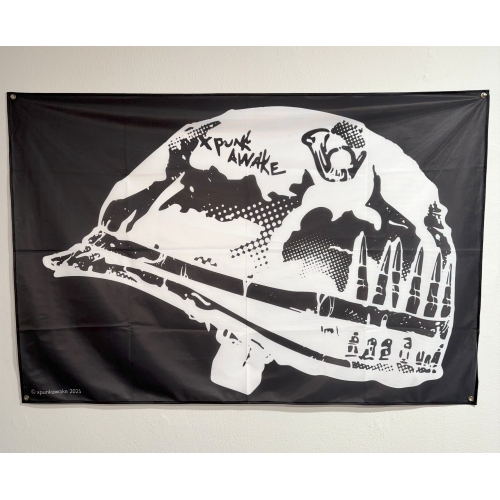 Прапор «Шолом»